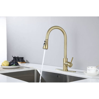 Kitchen Faucet with Pull Out Spraye