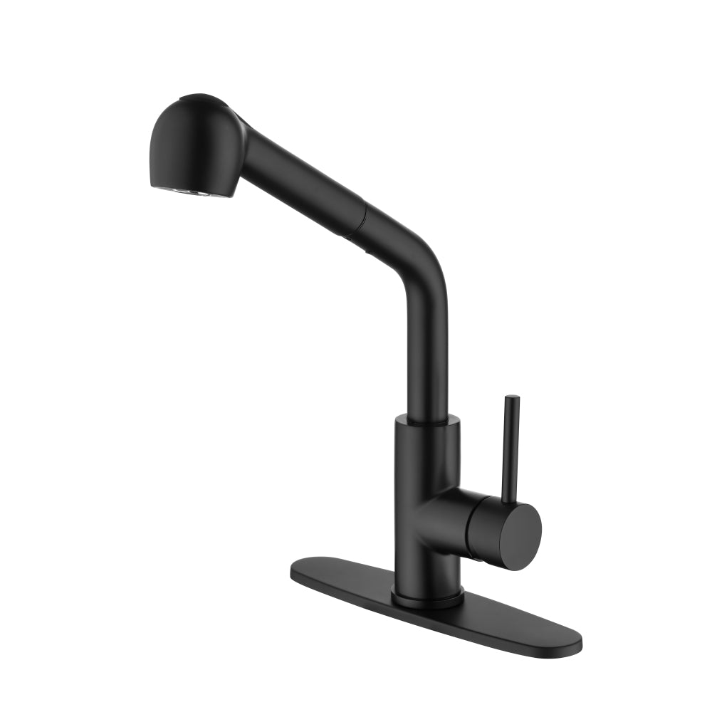 Matte Black Kitchen Faucets with Pull Down Sprayer, Single Handle Kitchen Sink Faucet with Pull Out Sprayer