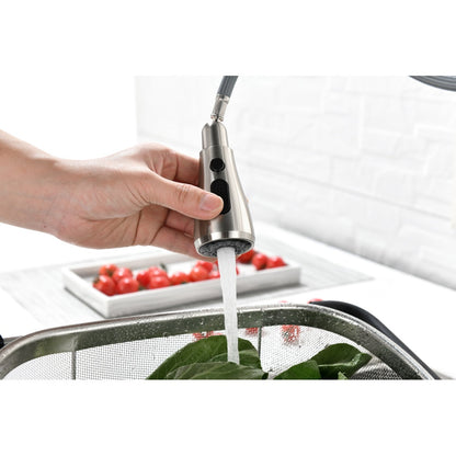 Single Handle High Arc Brushed Nickel Pull Out Kitchen Faucet,Single Level Stainless Steel Kitchen Sink Faucets with Pull Down Sprayer