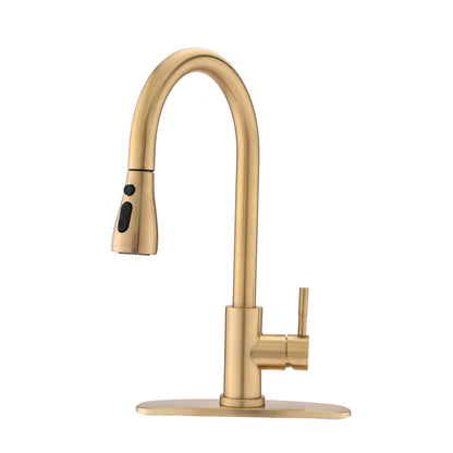 Pull Down Kitchen Faucet with Sprayer Stainless Steel Brushed Nickel