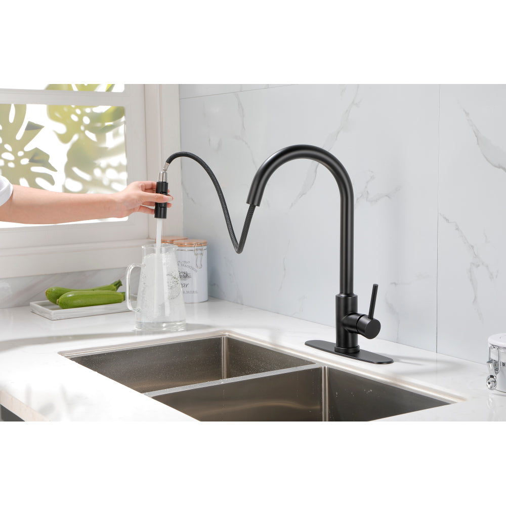 Kitchen Faucet with Pull Down Sprayer