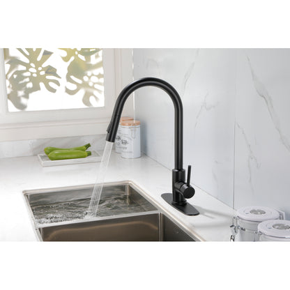 Kitchen Faucet with Pull Down Sprayer