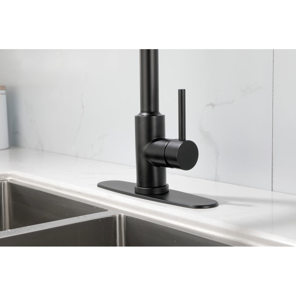 Kitchen Faucet with Pull Down Sprayer