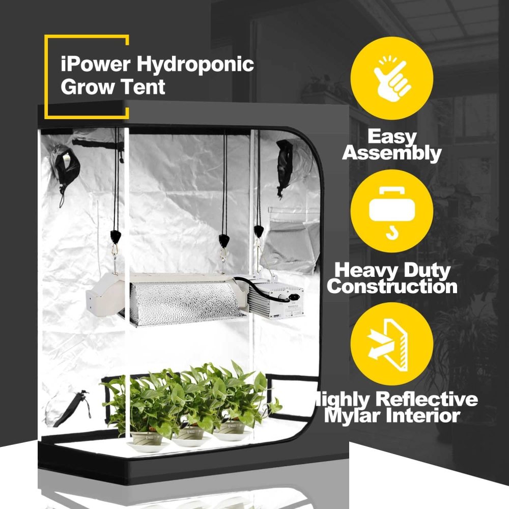 iPower 48"x24"x60" Grow Tent with Observation Window and Removable Floor Tray, Tool Bag for Indoor, 24" x 48" x 60", Black/Silver