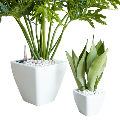 2-Pack Smart Self-watering Planter Pot for Indoor and Outdoor - Light Wood - Square Cone