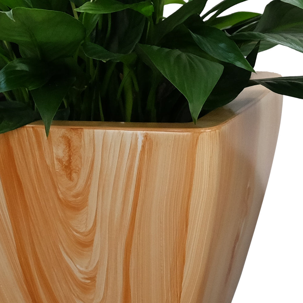 2-Pack Smart Self-watering Planter Pot for Indoor and Outdoor - Light Wood - Square Cone