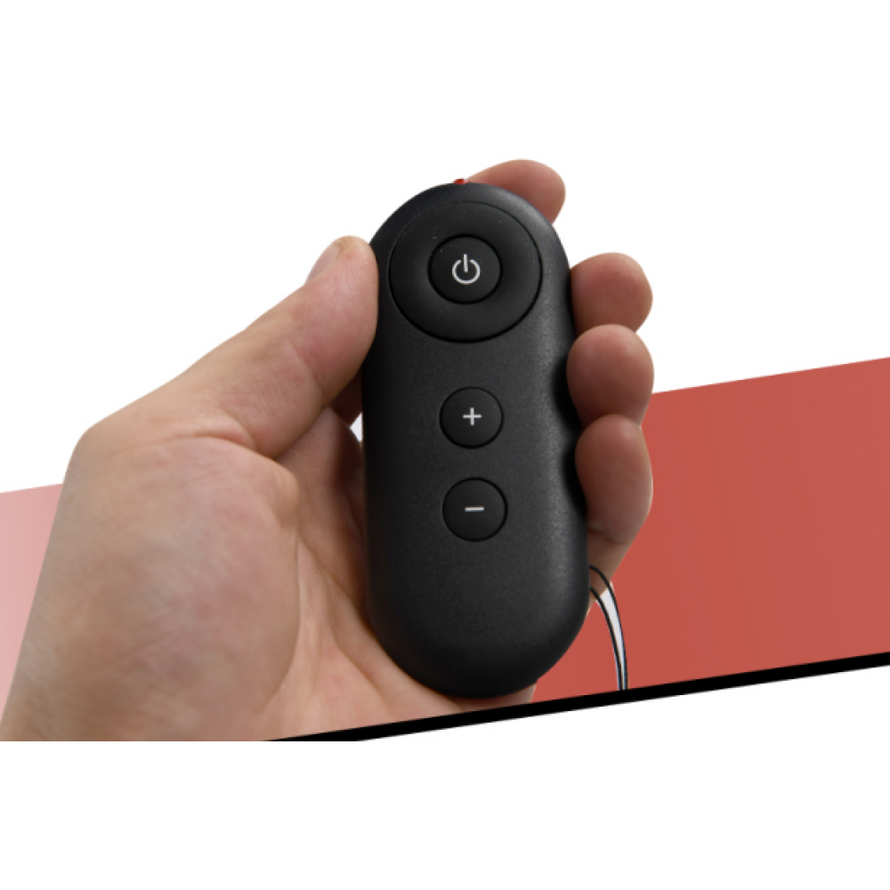 remote control