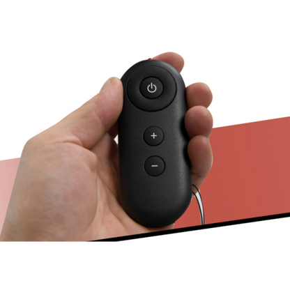 remote control