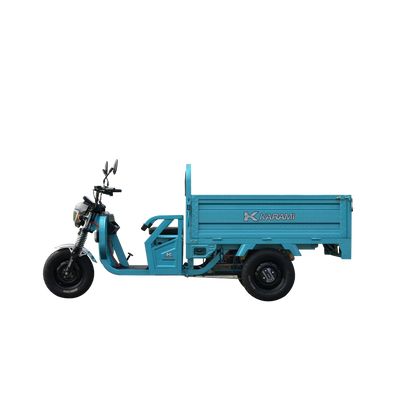 Pioneer second-generation electric three wheel 1.6m(2)