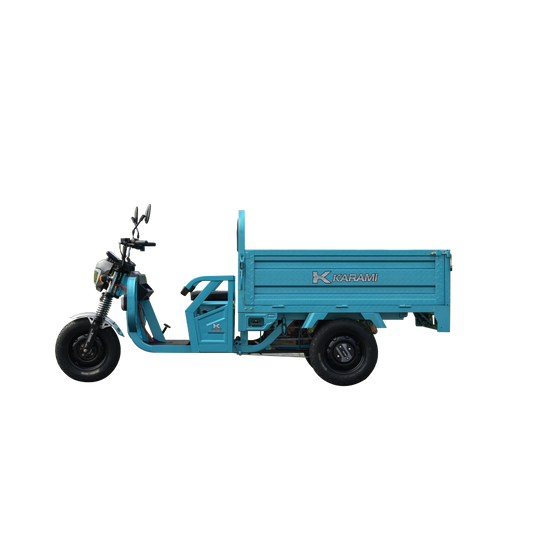 Pioneer second-generation electric three wheel 1.6m(2)